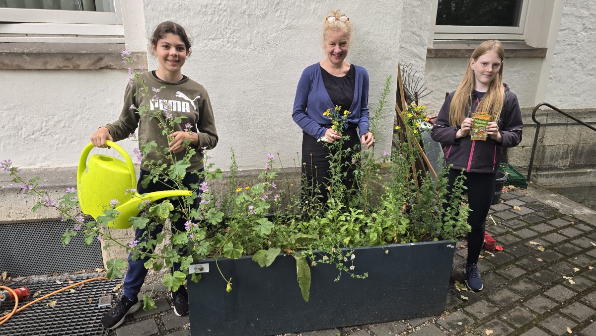 Würdigung der Pflanzkasten-Aktion 2025 auf unserem Schulhof